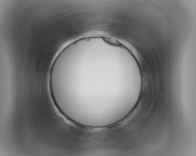 X0000112181390200908070931