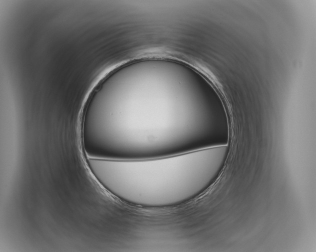 X0000112181392200908070931