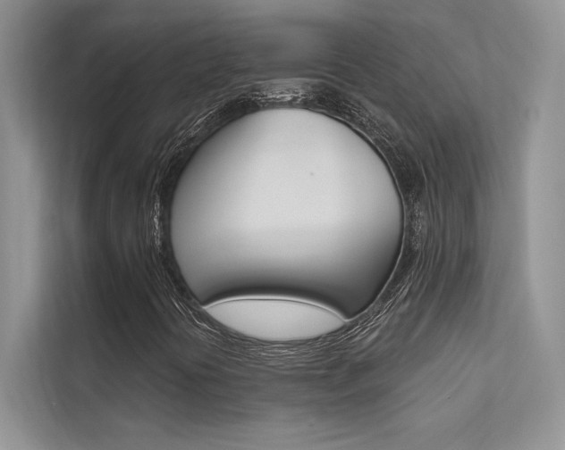 X0000112181394200908070930
