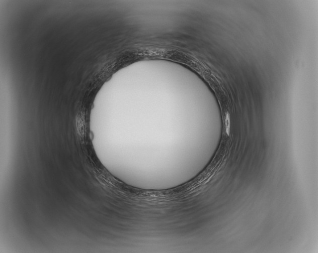X0000112181395200908070931