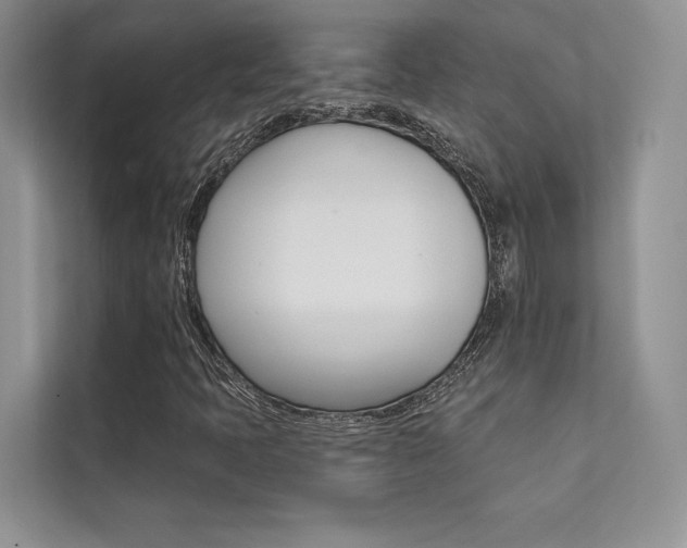 X0000112181397200908070931