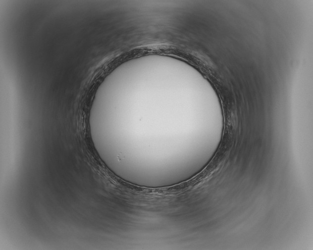 X0000112181398200908070931