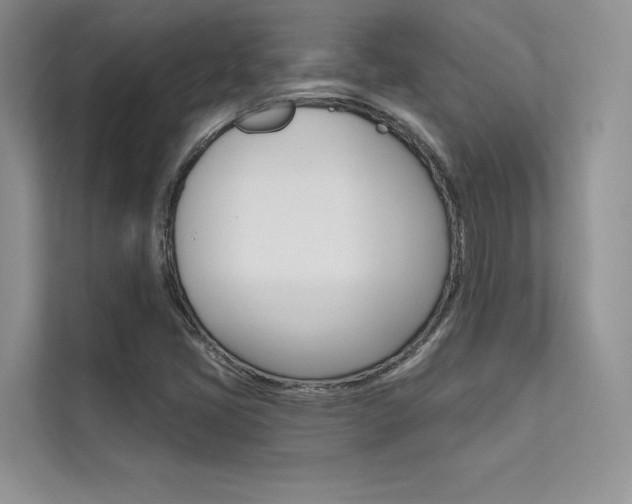 X0000112181405200908070931