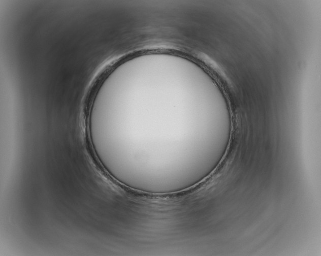 X0000112181408200908070931