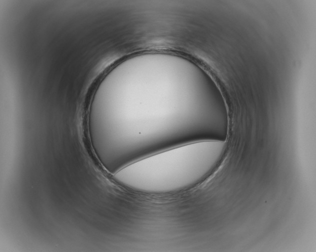 X0000112181410200908070931