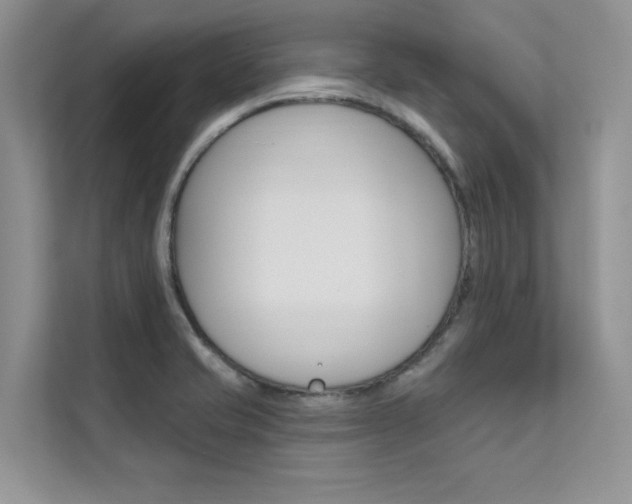 X0000112181421200908070931