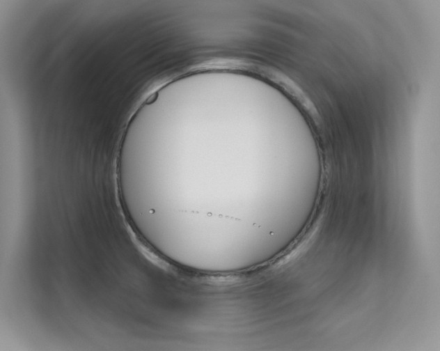 X0000112181425200908070931