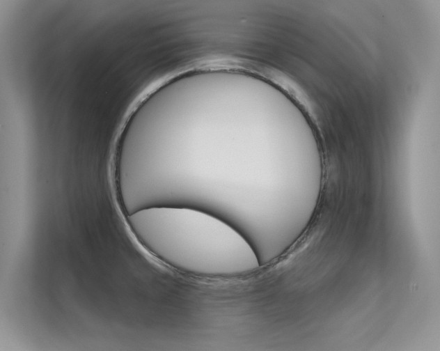 X0000112181429200908070931