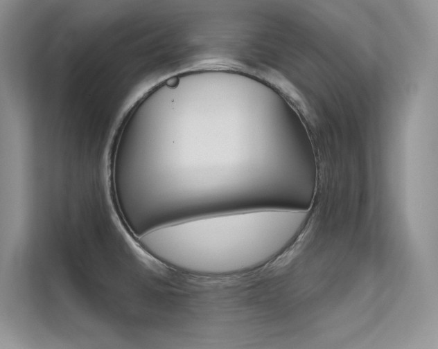 X0000112181430200908070931