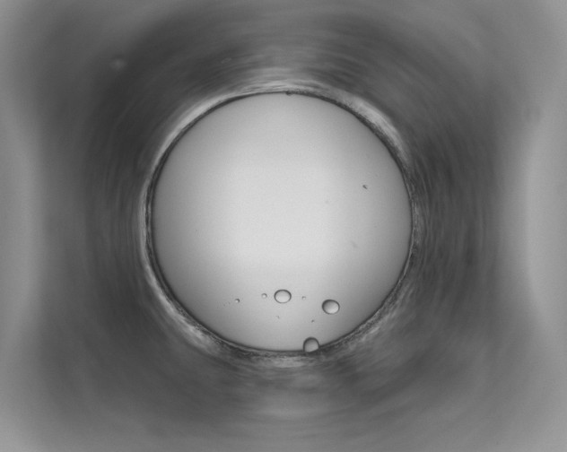 X0000112181431200908070931