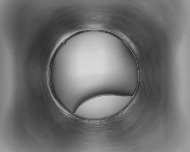X0000112181432200908070931