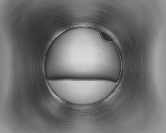 X0000112181433200908070931