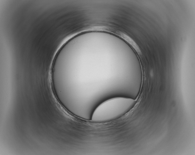 X0000112181436200908070931