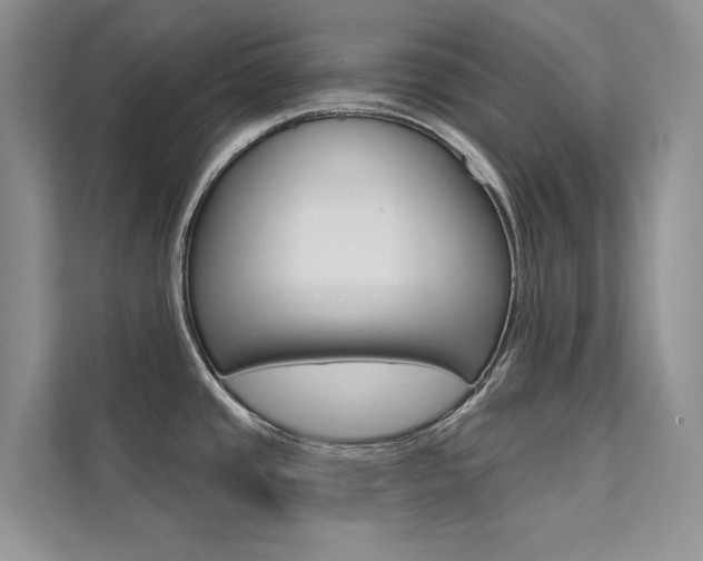 X0000112181437200908070931