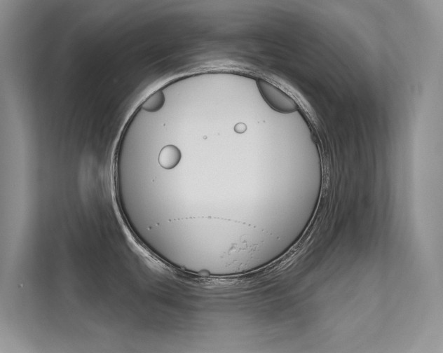 X0000112181439200908070931