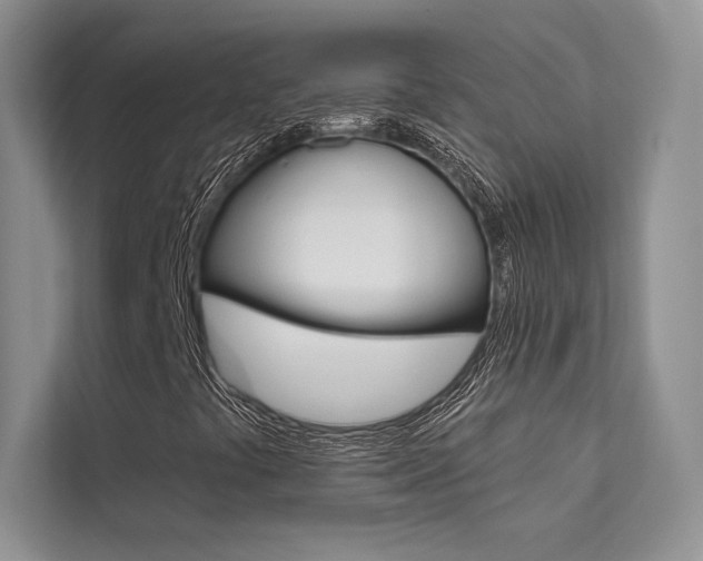 X0000112181441200908070930