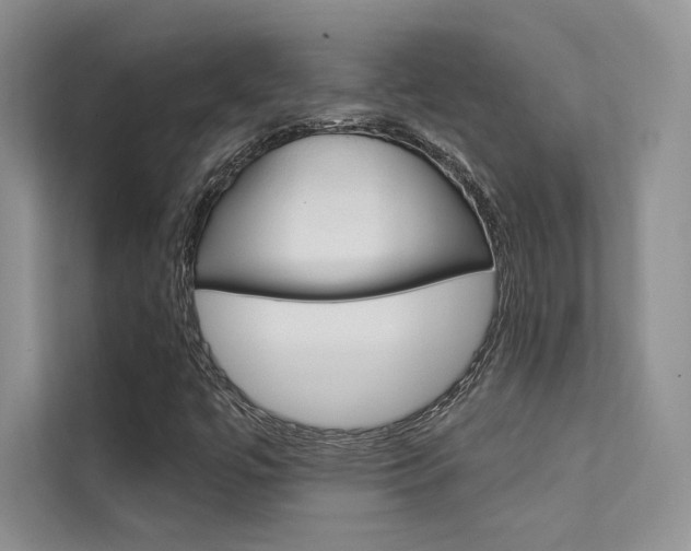 X0000112181447200908070930