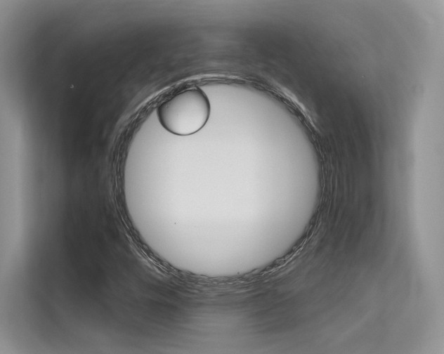 X0000112181448200908070930
