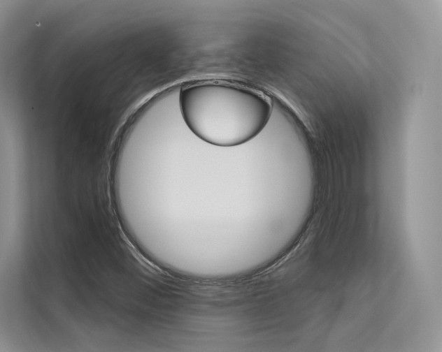 X0000112181452200908070930