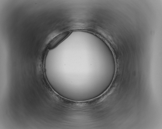 X0000112181453200908070930