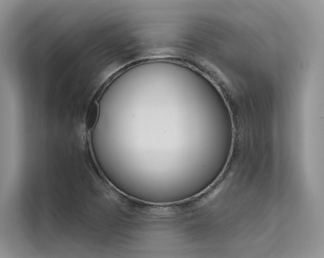 X0000112181457200908070930
