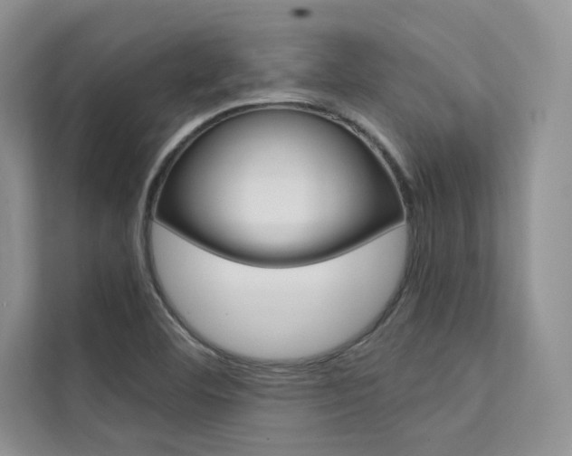 X0000112181460200908070930