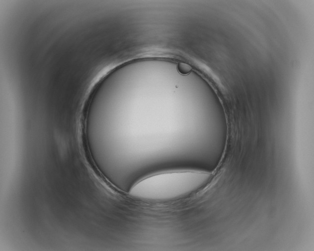 X0000112181463200908070930