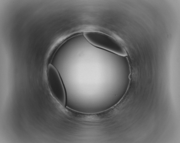 X0000112181464200908070930