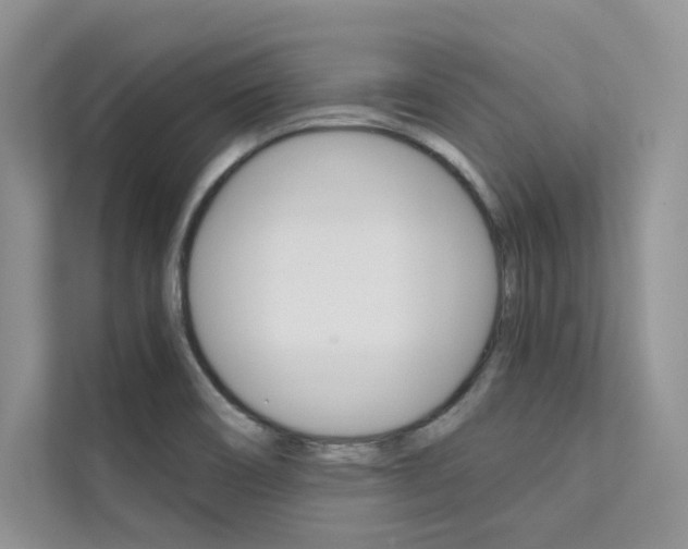 X0000112181466200908070930