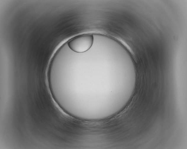 X0000112181468200908070930