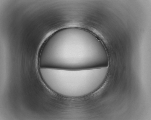 X0000112181469200908070930