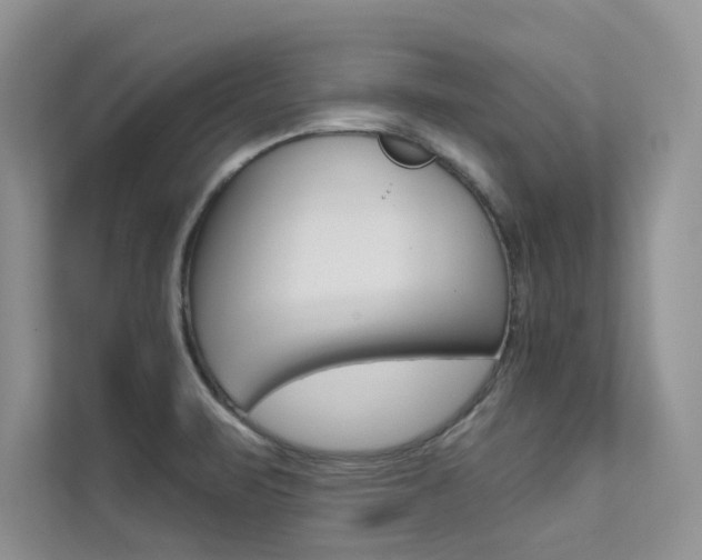 X0000112181471200908070930