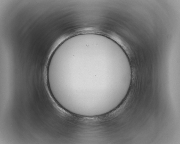X0000112181474200908070930