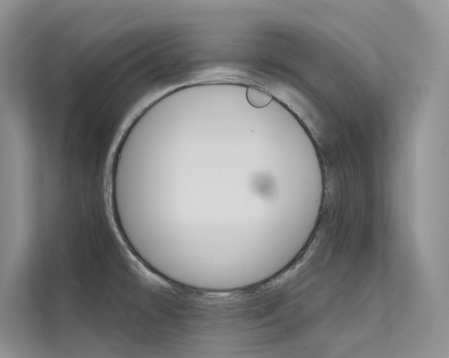 X0000112181478200908070930