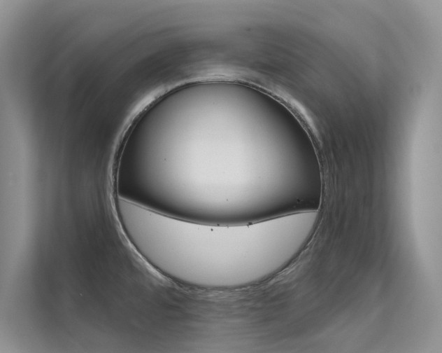 X0000112181480200908070930
