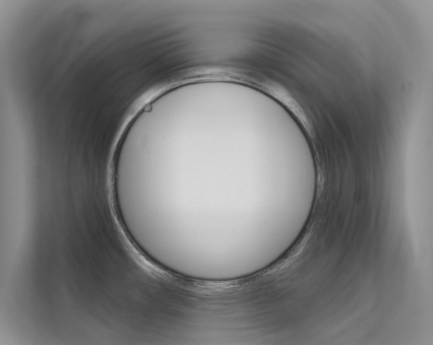 X0000112181482200908070930