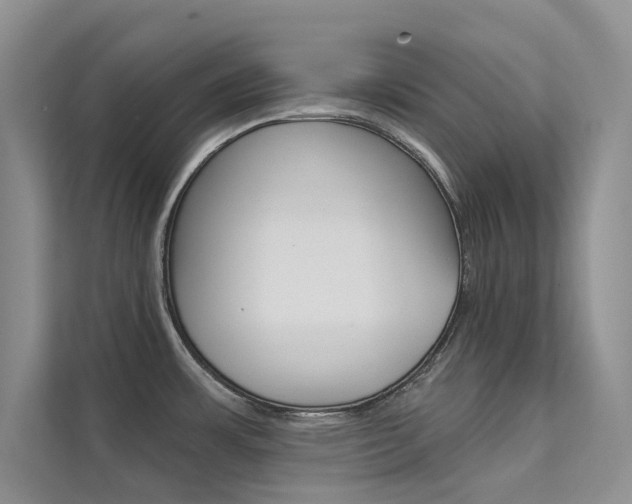X0000112181483200908070930