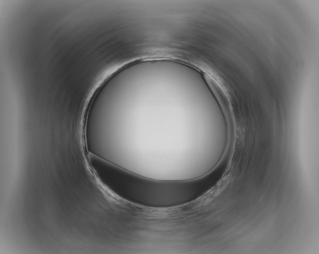 X0000112181485200908070930