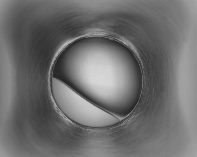 X0000112181488200908070930