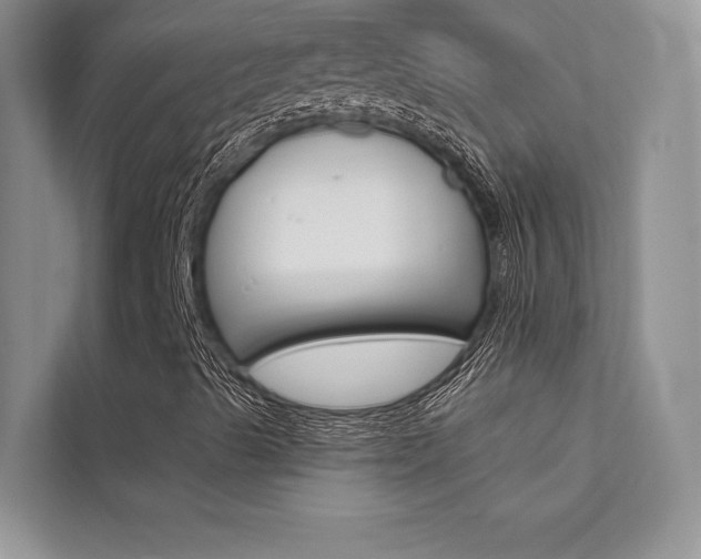 X0000112181489200908070929