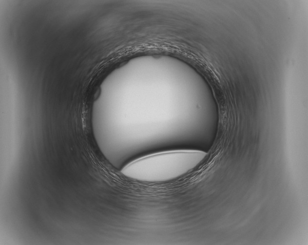 X0000112181490200908070929