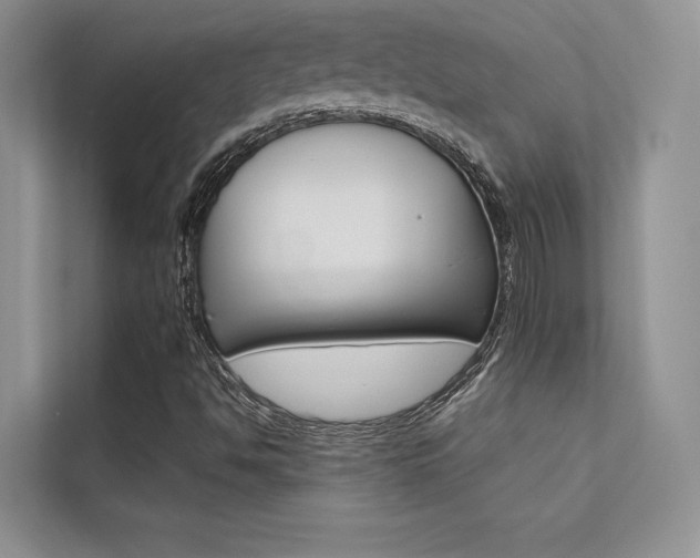 X0000112181494200908070929