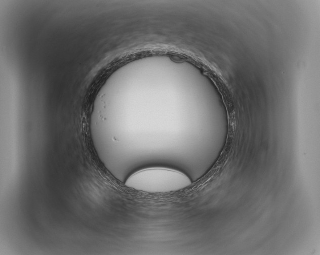 X0000112181495200908070929