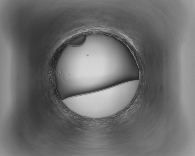 X0000112181496200908070929