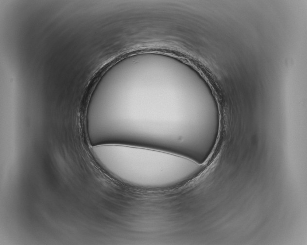 X0000112181497200908070929