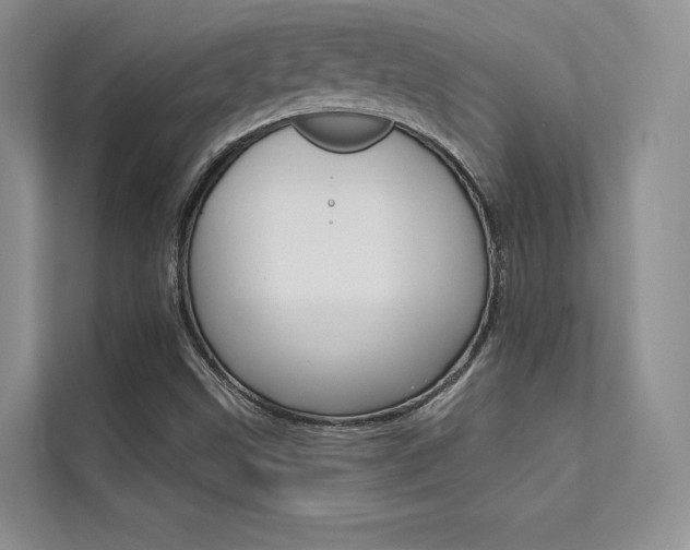 X0000112181499200908070929