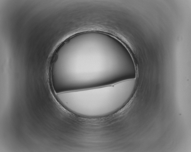 X0000112181500200908070929
