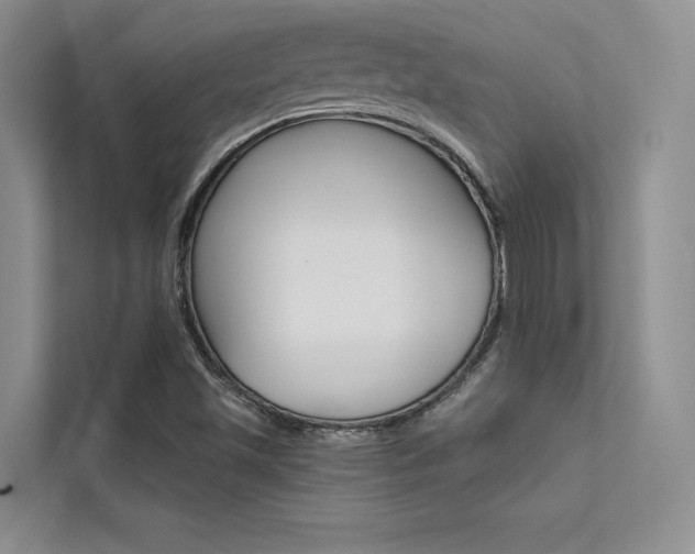 X0000112181501200908070929
