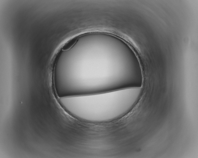 X0000112181504200908070929