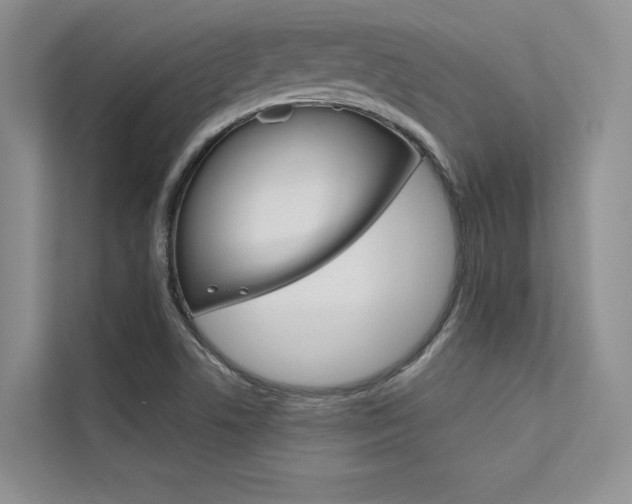X0000112181506200908070929